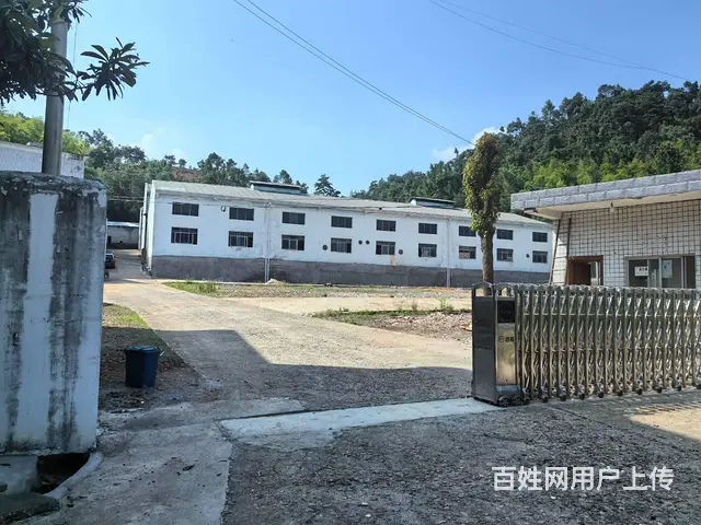 (房东直租)白若铺319国道旁4200平园区厂房出租，可分租 - 图片 11