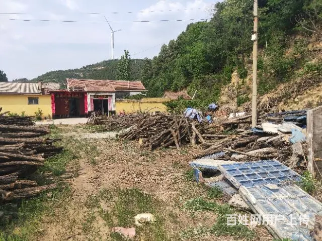 出售槐木 - 图片 8