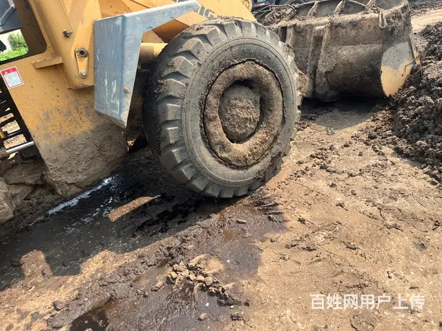 不用了。 - 图片 1