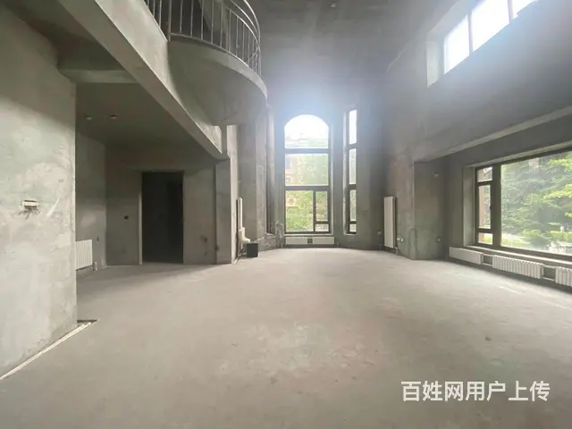 群力盛和天下挑空别墅998万带车库边户大花园满2年随时看房 - 图片 11