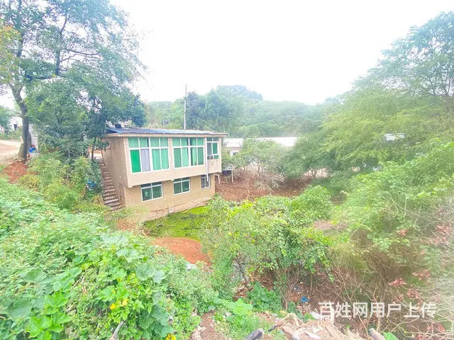 雨花区跳马红星同升湖整栋民房，鱼塘，场地，冷库，农家院子出租 - 图片 5