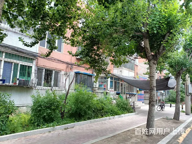 一环内学区好房 一楼可窗改门 - 图片 2
