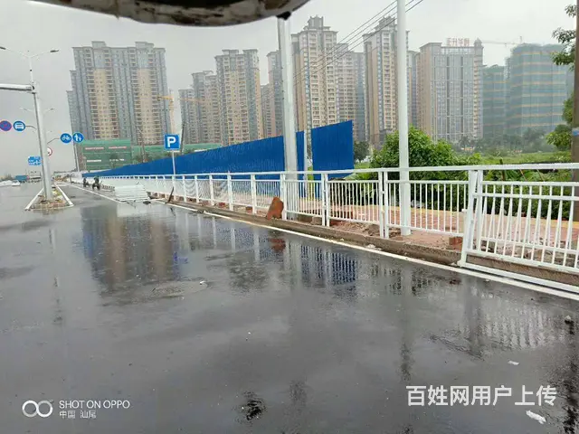 景区道路护栏 款式可定制 人行道两侧围栏 - 图片 6