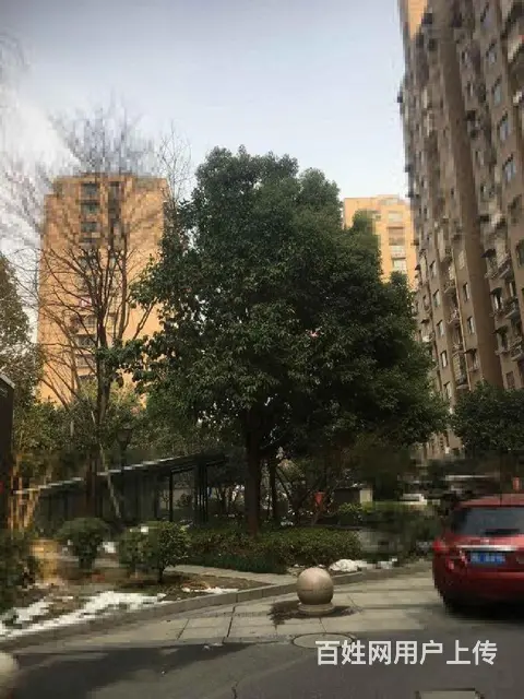 新塘家园东区打两室水湘大厦新塘地铁口东升市场邵逸夫农大501 - 图片 12
