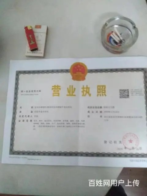 出售三角梅 - 图片 6