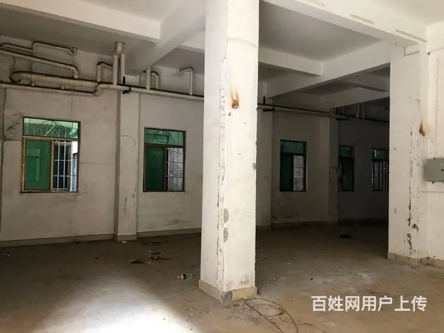 （51旺铺推荐）高坡村临街220平房东直租铺面 - 图片 5