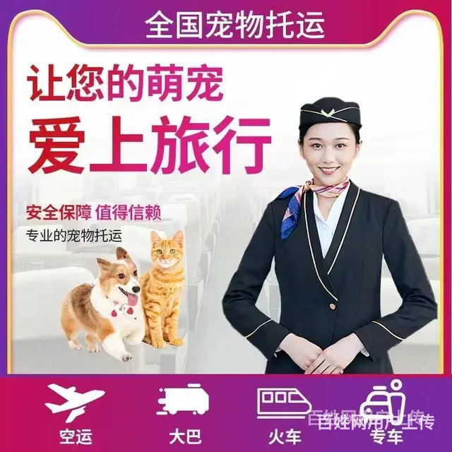 临夏托运宠物 （猫狗活体运输）快递至全国各地 - 图片 1