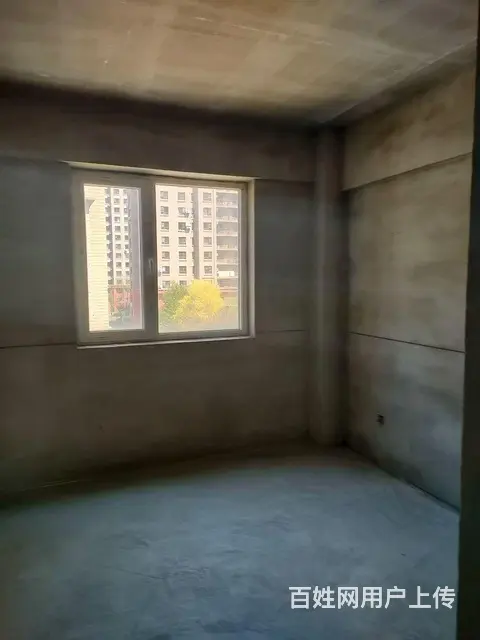 明厅南北通透的户型 - 图片 2
