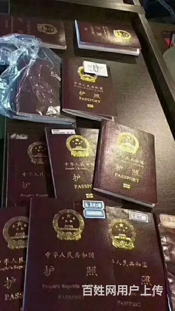 出国新项目一急一招一普工一技工一工厂一农场一建筑一 - 图片 12