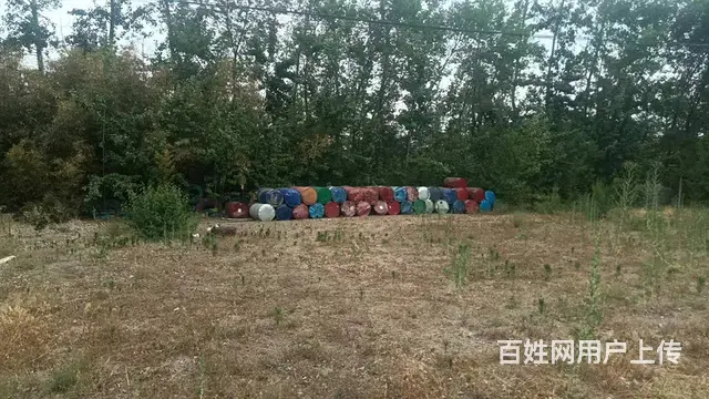 西岗镇北环东路3000平庄园及50亩地出租 - 图片 9
