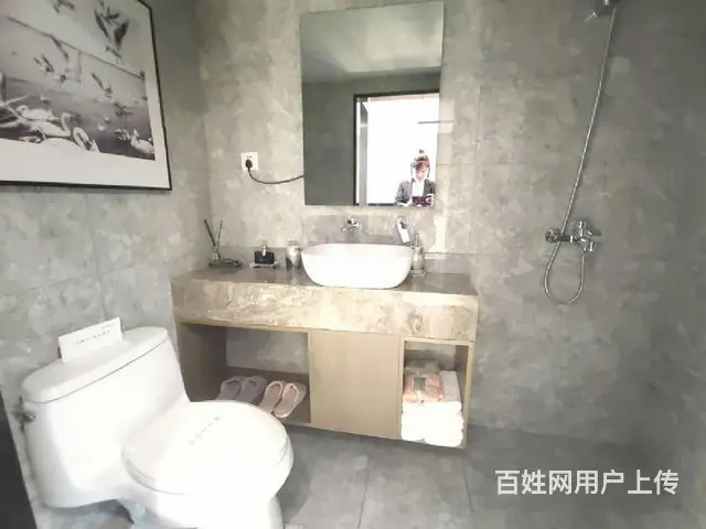 政府财税奖补明湖中对面 高铁站轻轨口复式挑高 央企开发 - 图片 1