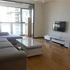爱丁堡2室2厅精装观江观大佛房 商住两用 精装修