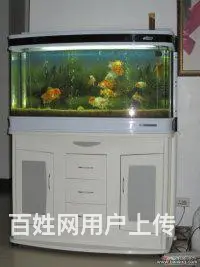 昆明专业鱼缸清洗，鱼缸修复，鱼缸定制，鱼缸搬家 - 图片 7