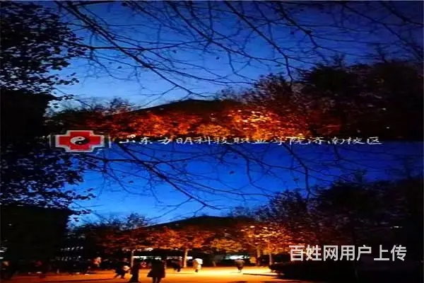 2024枣庄煤炭卫校招生简章 - 图片 3