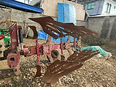 瑞士360调幅梨