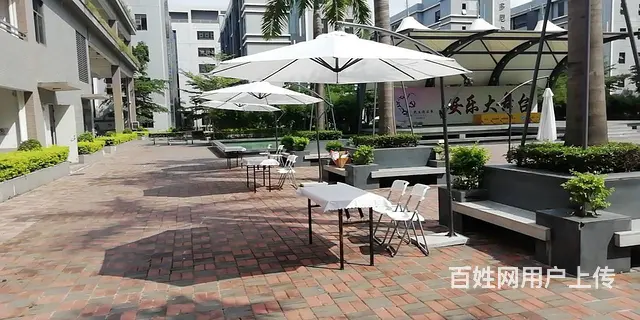 深圳租赁遮阳伞帐篷沙发写字板椅子弓形椅仿古家具 - 图片 1
