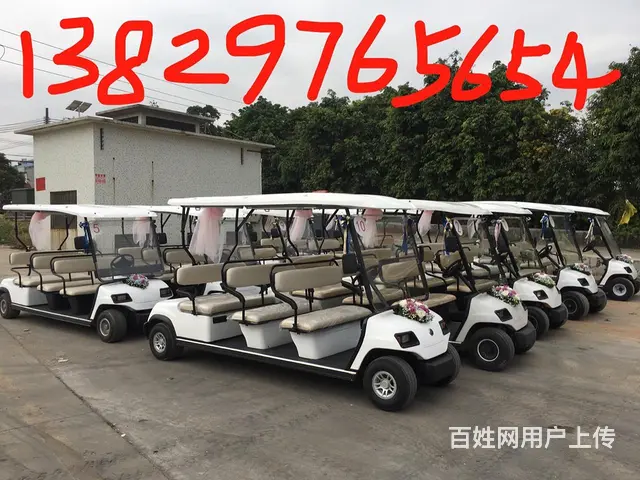 出租租赁出售电瓶观光车 展会接驳车 楼盘看房车 - 图片 2