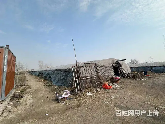 （弘扬快讯）铜山区三堡胜阳养殖场出租 - 图片 4