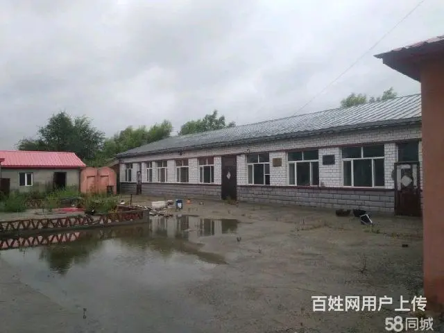 松北区中源大道厂房库房出租 - 图片 10