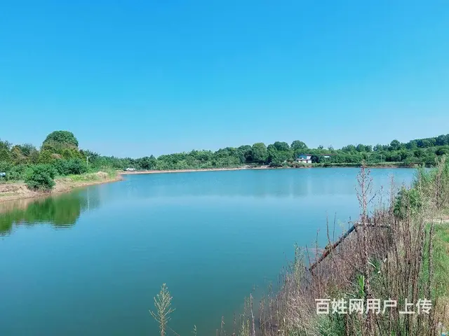 （老板本人）黄花镇长龙街道独门独院房屋厂房农家乐招租6844 - 图片 9
