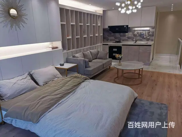 政务新区现房首付10万复式公寓苏滁汽车生活广场通燃气双层设计 - 图片 11