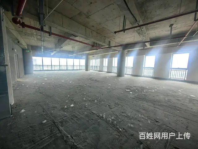 大龙湖金融聚集区1400平整层，可分售 - 图片 8