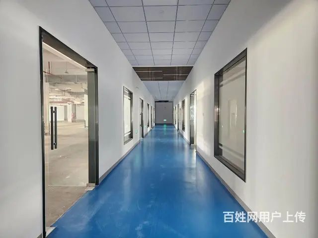 苏虹东路精装厂房招租 4T货梯 丙类消防 带喷淋 交通便利！ - 图片 12
