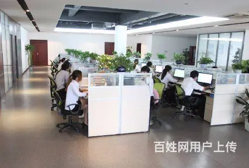 出国有保障，多国项目，澳洲保签，三年一百万 - 图片 2