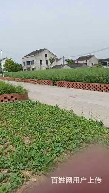 他乡遇知已 - 图片