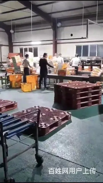 海外工作- 加拿大急招工厂- 分配员 - 图片 1