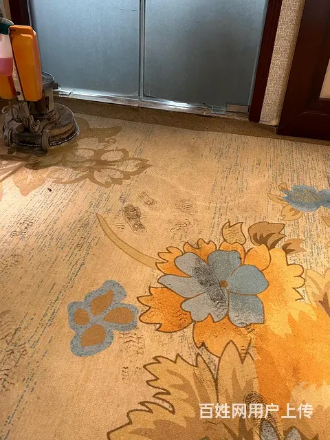 专业永州道县宁远片区各大酒店工厂地毯清洗，地板清洗 - 图片 5