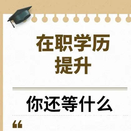 射阳2025年成考专升本去哪里咨询 - 图片 1
