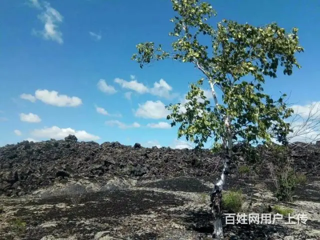 五大连池旅游包车，北安到五大连池旅游包车 - 图片 7