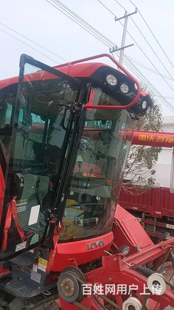 24金刚龙 - 图片