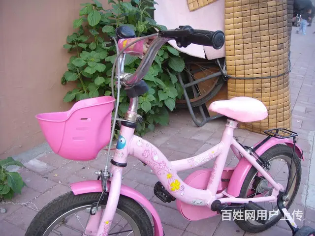 童车 - 图片 1