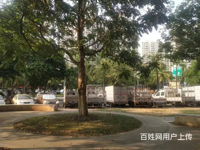 (51旺铺推荐）琼山区椰海大道96平汽车维修店转让 - 图片 3