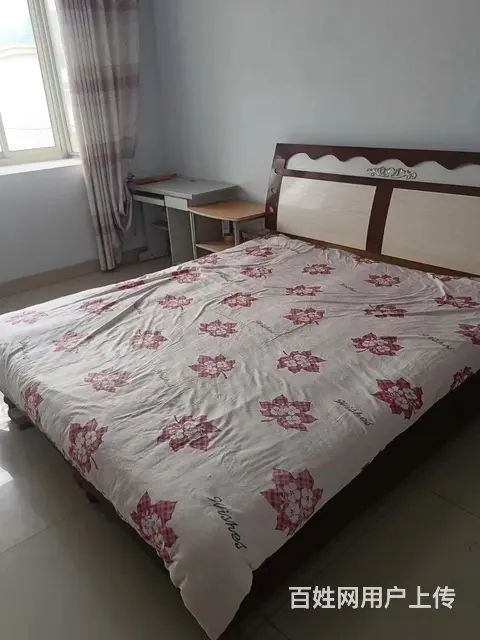  - 图片 5