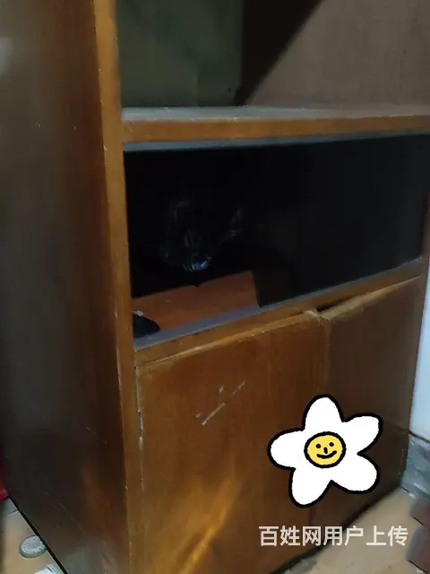上海实木橱柜精品制造便宜卖给你扎实耐用 - 图片 2