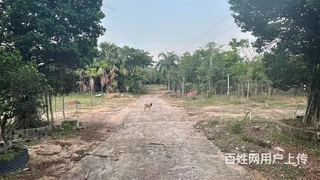 （51旺铺推荐）陵水144亩土地转让 - 图片 4