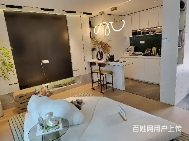 海湖新区公寓出售，39～59 - 图片 6