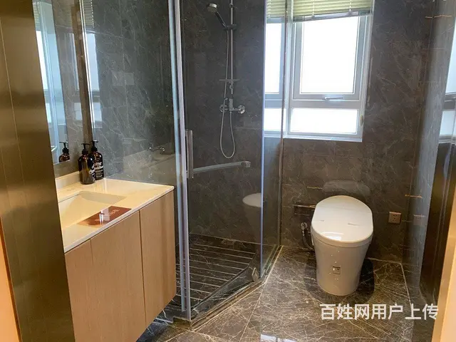 南京都市圈！紧邻江北湖景房！轻轨口 来电送全套家电 车位 - 图片 11