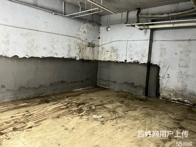 南岗保健路征仪路口地下库房出租 - 图片 3