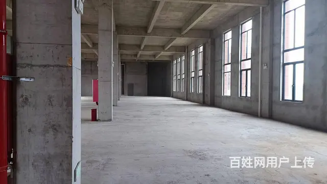 首付2成 长可贷20年独栋园区厂房出售 - 图片 7