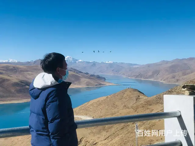 合适可闪婚 - 图片