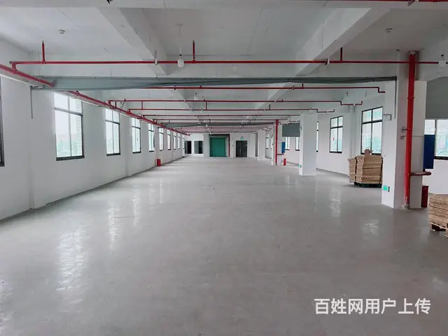 （老板本人）长沙县榔梨工业园标准厂房/仓库出租  6311 - 图片 5