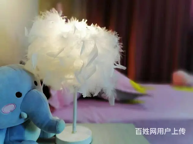 鑫诺民宿，北华大学旁，可短租，可月付，有宽带，有空调，可做饭 - 图片 9
