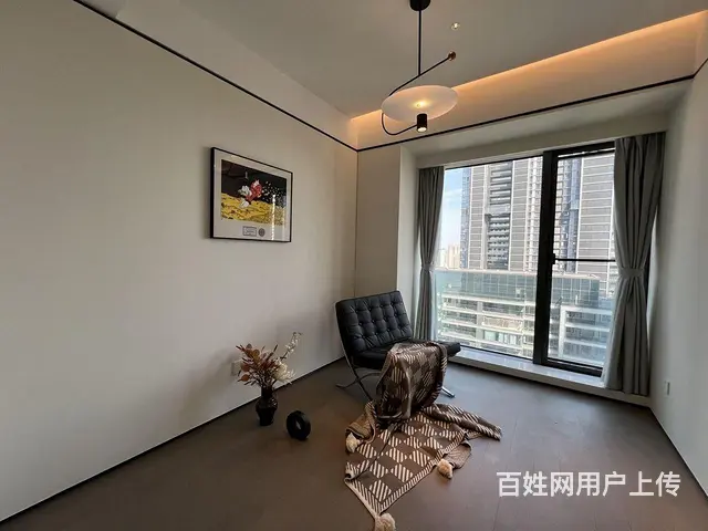 城市名片 长江中心 4房3卫 无遮挡瞰江 绿地60 - 图片 8
