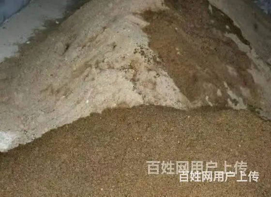 东陵沙子水泥出售运输一条龙服务 - 图片 5
