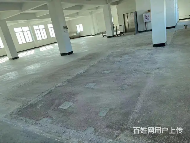 钢结构一楼厂房出租 - 图片 3