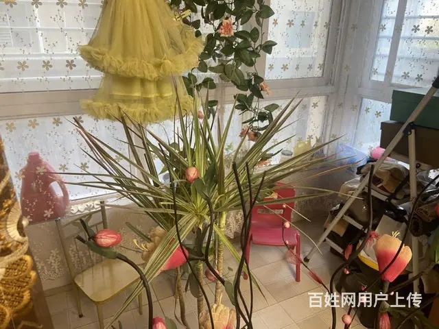 新兴路，永和新苑，两室，拎包住 - 图片 9